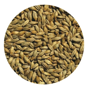 Słód WĘDZONY TORFEM Viking Malt 25kg Whisky