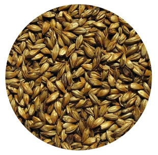 Słód KARMELOWY 150 Viking Malt 25kg