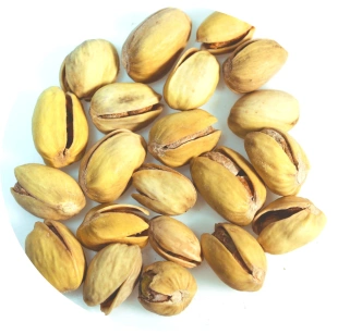 PISTACJE w ŁUPINACH solone  500g 