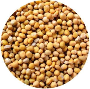 GORCZYCA BIAŁA ZIARNO 1000g