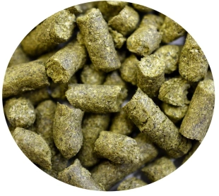 chmiel ENIGMA 30g AUS uniwersalny