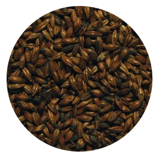 Słód KARMELOWY 600 Viking Malt 1kg