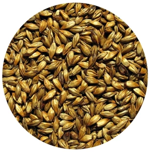 Słód Caramel PALE Viking Malt 5kg
