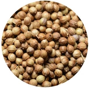 KOLENDRA ZIARNO 500g