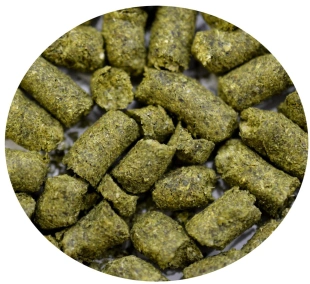 Chmiel SYBILLA 50g PL mocno goryczkowy
