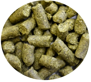chmiel LUBELSKI 500g PL aromatyczny 