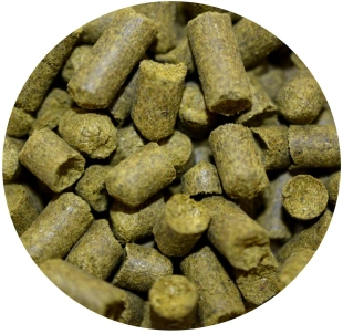 Chmiel CITRA 100g USA aromatyczny