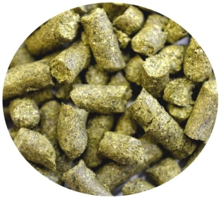 chmiel MAGNAT 50g PL goryczkowy