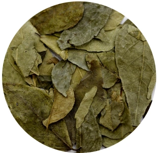 CURRY liście KARI CURRY LEAVES 20g