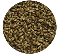 Słód KARMELOWY 100 Viking Malt 250g