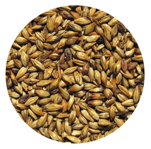 Słód KARMELOWY 30 Viking Malt 0,25kg