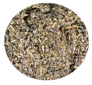 ZIELE PIOŁUNU 500g
