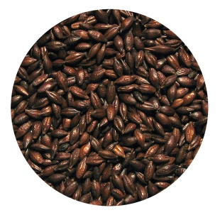 Słód JĘCZMIEŃ PRAŻONY 1kg Viking Malt 