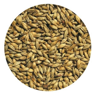 Słód MONACHIJSKI JASNY TYP I Viking Malt 25kg