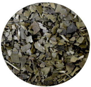 YERBA MATE  susz 100g