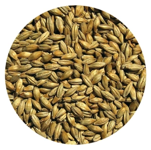 Słód jęczmienny DEKSTRYNOWY 1kg Viking Malt