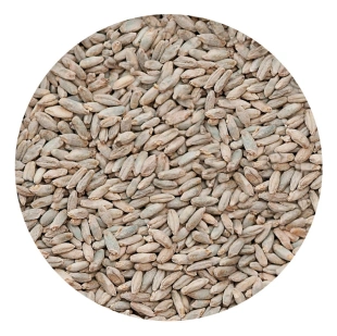 Słód ŻYTNI 1kg Viking Malt 