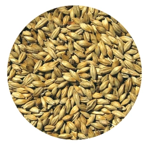 Słód RED ALE Viking Malt 500g