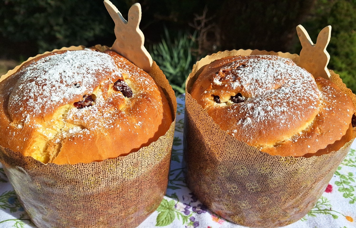 Drożdżowa na oleju